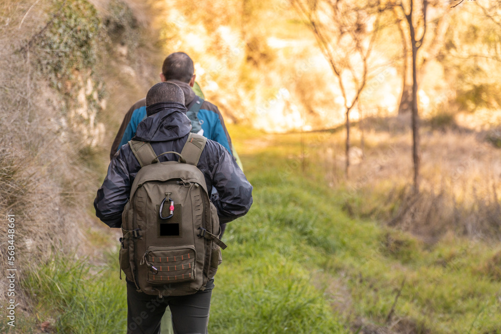 Hikers walking through the forest on a winter day