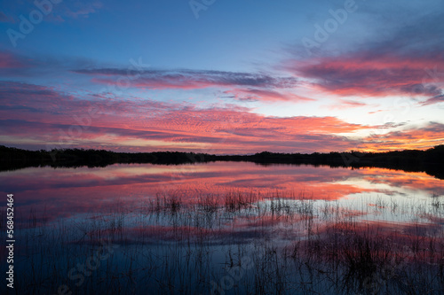 Colorful sunrise cloudscape reflected in calm water of Nine Mile Pond in Everglades National Park  Florida.