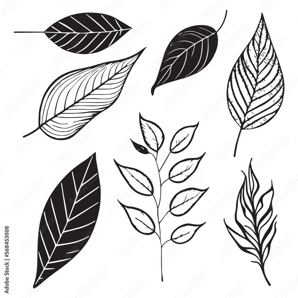 set of leaves black outline texture vector, leaf outline illustration