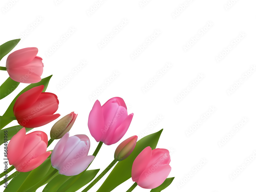Spring flowers. Floral background. Tulips. Beautiful illustration. Red. Pink. Green leaves. Border. Bouquet. March 8. Spring flowers. Floral background. Tulips. Beautiful illustration. Red. Pink. Green leaves. Border. Bouquet. March 8.