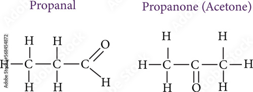 An example of functional isomerism , vector image
