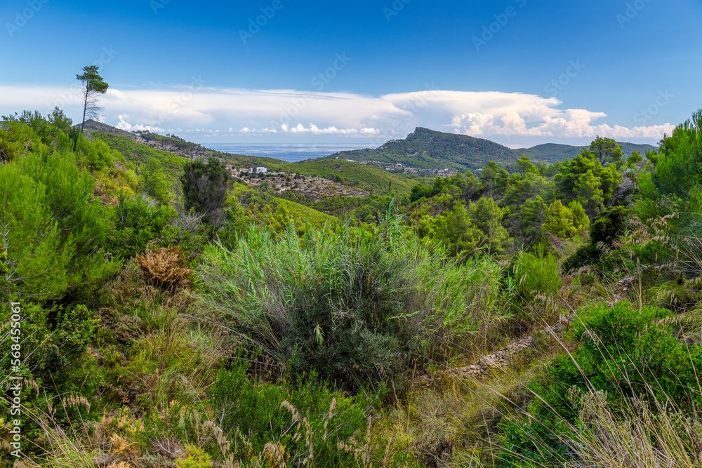 The Natural Side to Ibiza away from the tourist areas