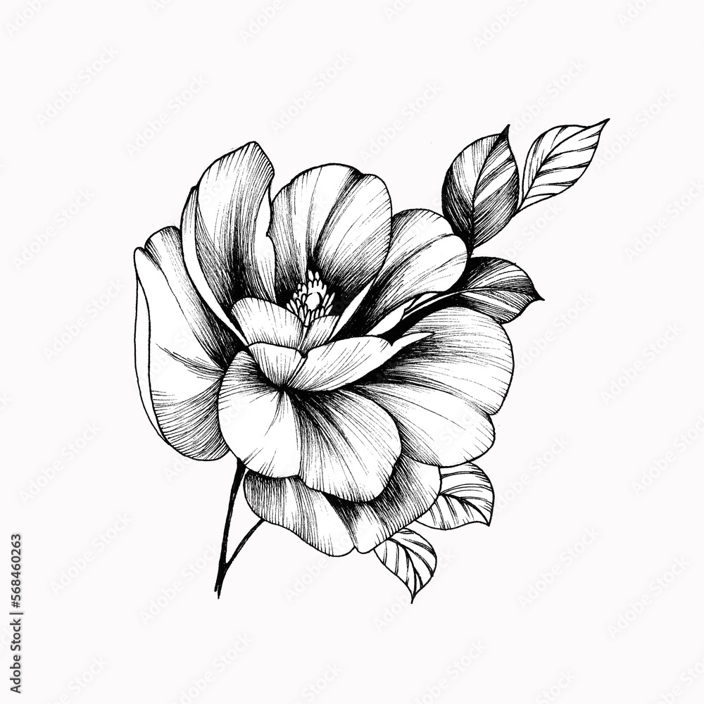 Fototapeta premium sketch of a flower