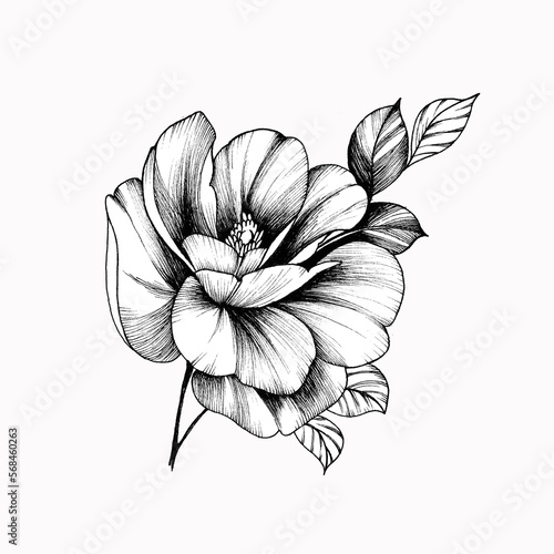 sketch of a flower