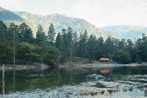 summer landscape, lake in the mountains, water surface, fallen trees, coniferous forest and the first snow, mountains on the background