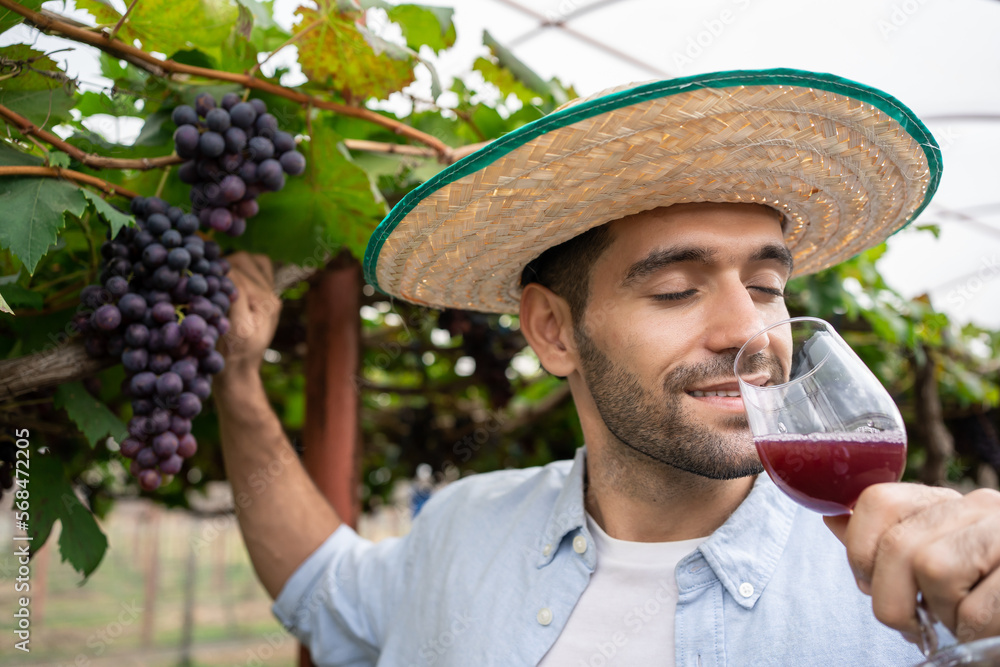 Smiling Adult Hispanic man winemaker with glass of red wine for testing quality in vineyard. Grape plantation for making a wine.