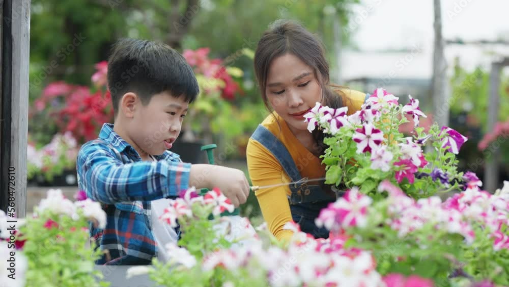 Mother and son using water pressure bottle and spray water to the flower plants. Happy smiling boy spraying water with mom in greenhouse. Farmer growing plant. Kid lifestyle in the city with family Mother and son using water pressure bottle and spray water to the flower plants. Happy smiling boy spraying water with mom in greenhouse. Farmer growing plant. Kid lifestyle in the city with family