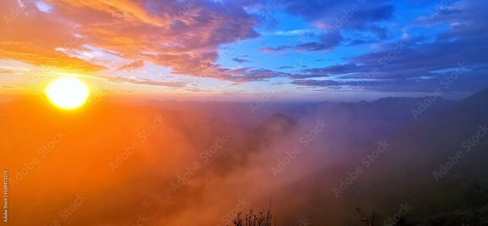 Fototapeta premium natur