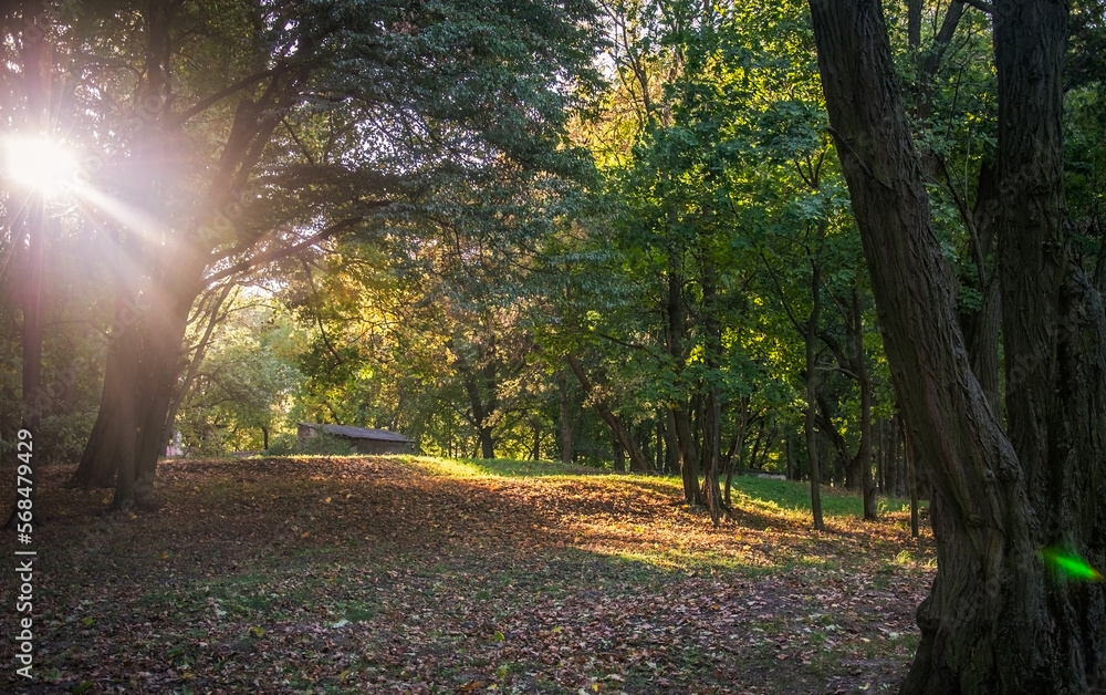 Naklejka premium Parks and nature in spring, summer and autumn.