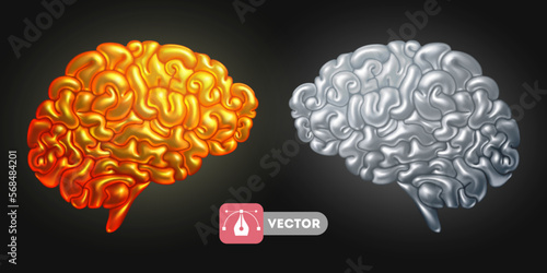 Brain, gold and silver colours, 3d convex cartoon icon set. Vector realistic illustration