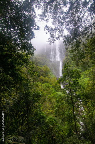 Wairere Falls, Matamata, New Zealand