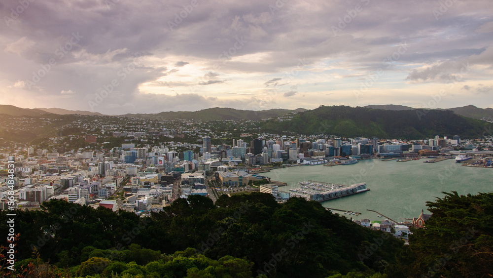 Wellington City Panorama, New Zealand