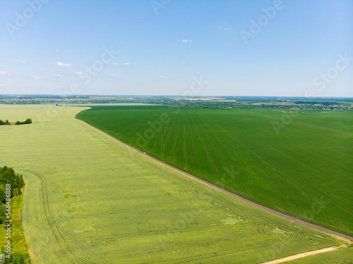 Beautiful wheat field green aerial view