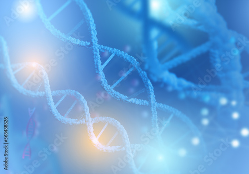Genetic background. DNA hel...
