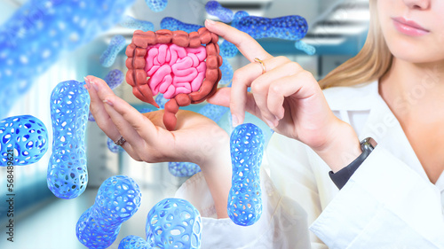 Digestive system. Doctor gi...
