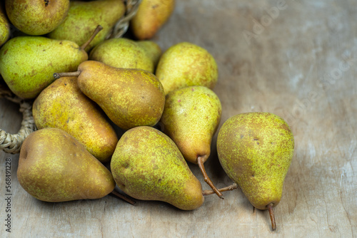 Pears in basket on a wooden background. Fruit harvest. Autumn still life. Pear variety Bera Conference. Vitamin food.