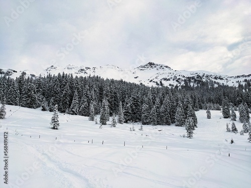 Ski tour in the Glarus Alps. From Weissenberg to the Fuggstock. Through freshly snow covered forests to the summit. Skitouring in the AlpsHigh quality photo.