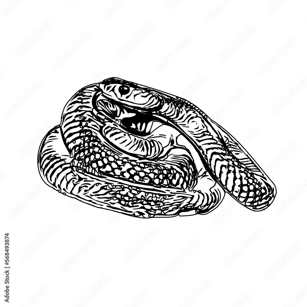 Naklejka premium Black and white sketch of a snake with transparent background