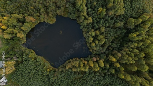 Amazing view from the top of the nature in the summer in the forest. Lake. The view from the drone.