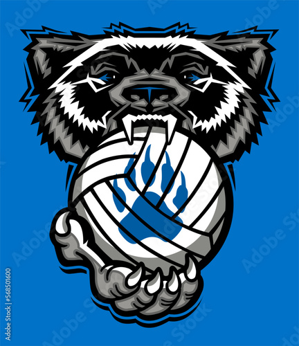 wolverine mascot biting volleyball for school, college or league sports