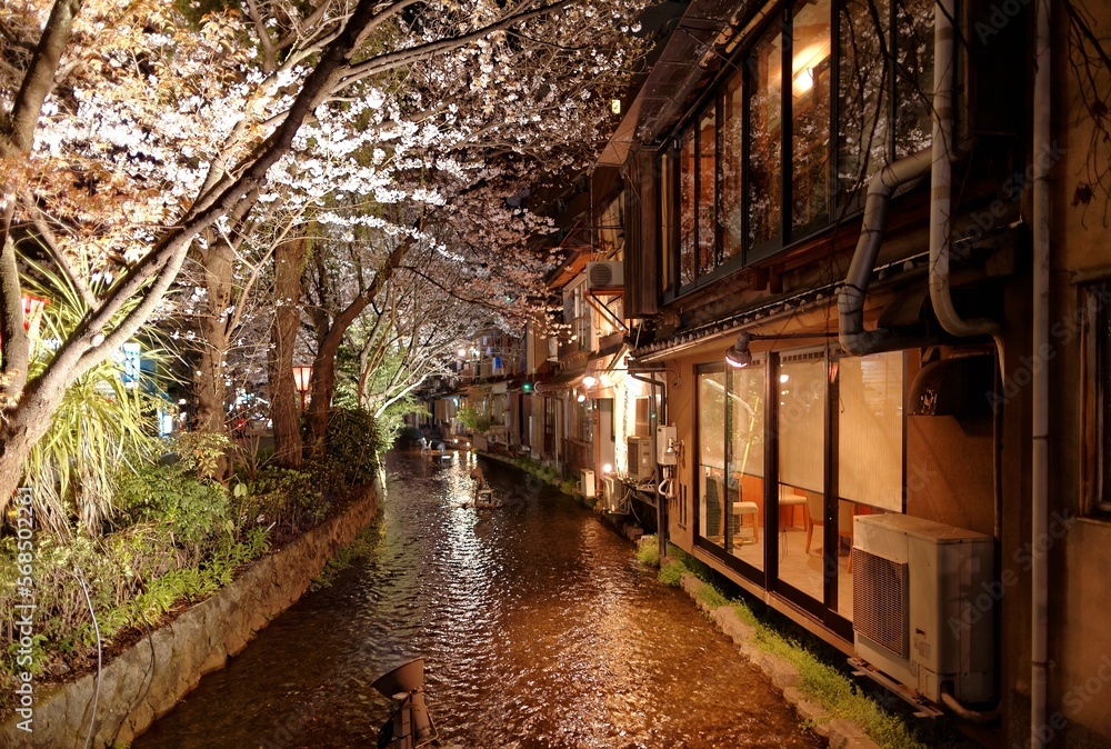Night scenery of Takase River ( Takase-gawa ) in Kyoto, Japan, with shops flanking the canal & romantic sakura cherry blossom trees by riverside ~ A corner of Tokyo city at nighttime in spring season