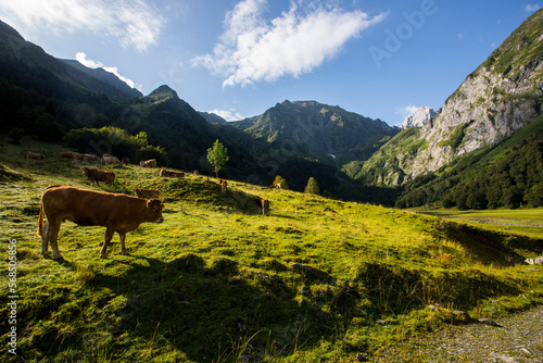 Summer in Uelhs Deth Joeu waterfall  Val D Aran  Spain