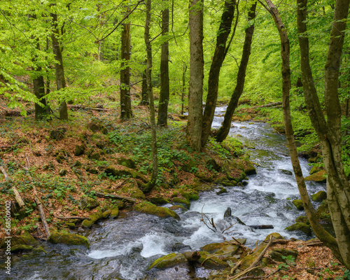 stream in the forest among boulders. beautiful nature landscape in spring