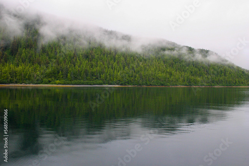 A Beautiful Alaska Forrest Island in the Valdez Channel with Fog