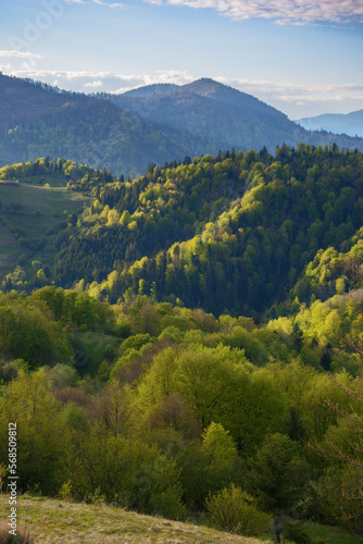 rural landscape with forested hills. beautiful rolling scenery in evening light with fluffy clouds on a bright sky. simple sustainable living in carpathian mountais