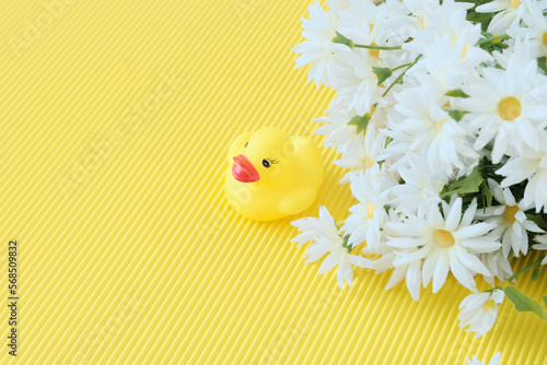 Yellow rubber duck toy. Yellow background. Chamomile white flowers. The concept of hygiene, bathing, cleanliness children's background.Copyspace.