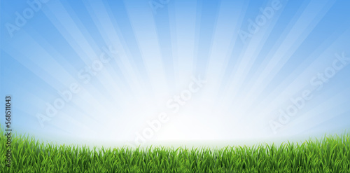 green grass background