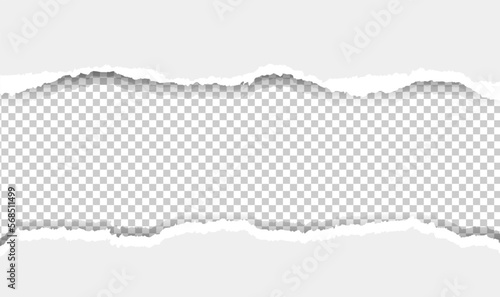 Ripped Paper background