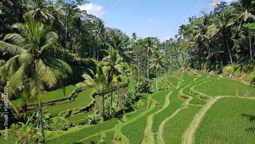 Beautiful landscape in Bali, Indonesia