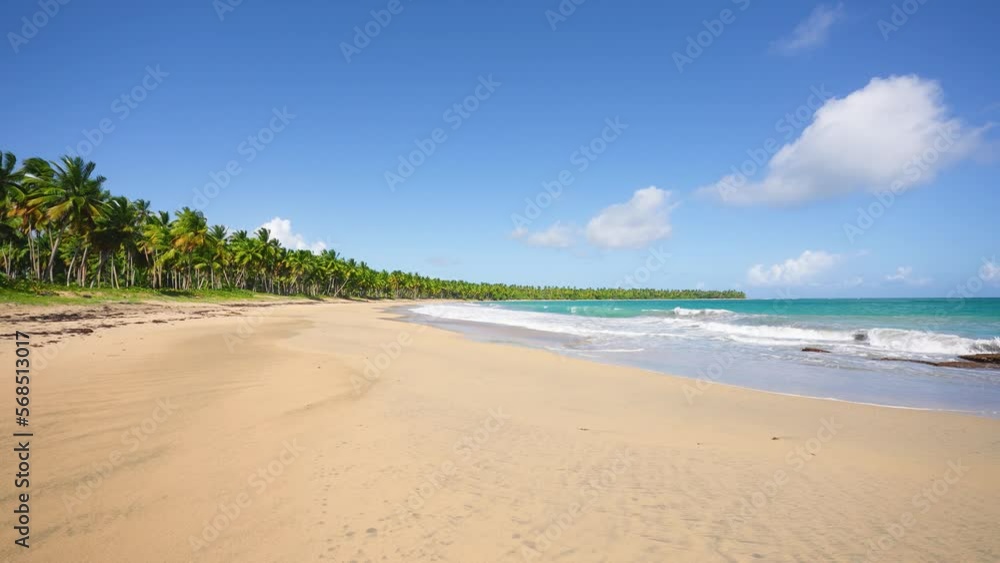 Nice view of the beach line with tall palm trees and the ocean. Yellow sand. Bright tropical summer sun and blue sky with light clouds. Wide format. Greenmount Beach on the Gold Coast on a clear day.