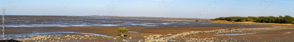Panoramic expanse of Kori creek in Gujarat during low tide 