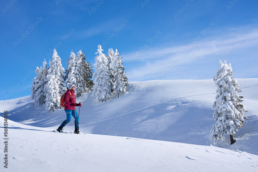 nice and active senior woman snowshoeing in deep powder snow in themountains of the Allgau alps near Balderschwang, Bavaria, Germany
