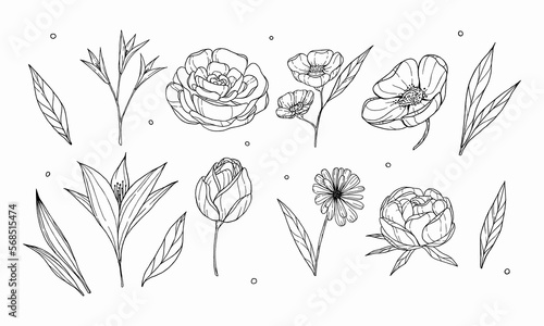 set of spring flowers in doodle style. floral decorations. sketches of leaves and buds. lilies, roses, peonies, poppies, tulips and leaves. Wedding elegant wildflowers