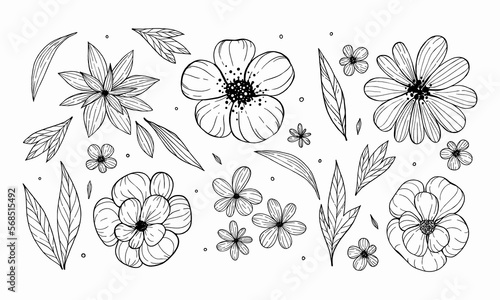 abstract flowers and leaves hand drawn. petals and buds scattered around the background. flower sketches.