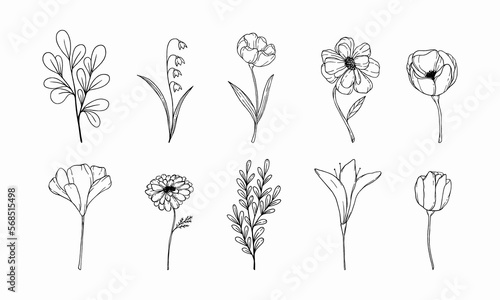 Set of floral elements. exquisite hand-drawn flowers. one color doodle drawing of plants. bouquet of flowers. Spring flowers doodle.