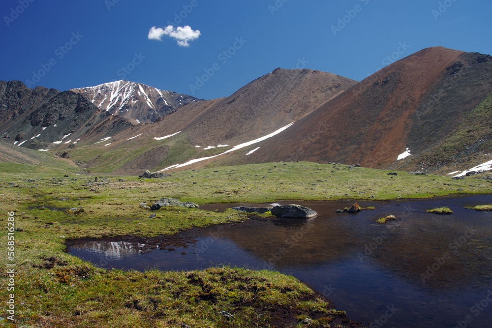 Highland lake green grass in swamp lake among dramatic mountain rocks with snow under blue sky Altai Siberia Russia