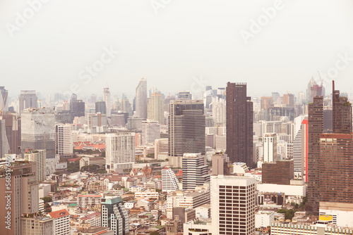 view of the skyscrapers of the big city background