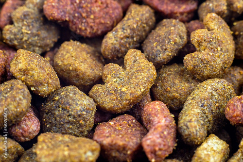 Brown kibble pieces of dry cat food as a textured pattern close up.