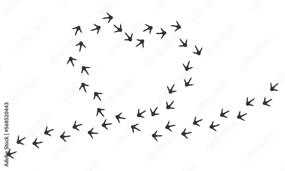 Vector trail print of bird isolated on white background. Heart silhouette. Footprint silhouette tracks of Bird. Paw Print. Vector illustration. EPS10. Vector trail print of bird isolated on white background. Heart silhouette. Footprint silhouette tracks of Bird. Paw Print. Vector illustration. EPS10.