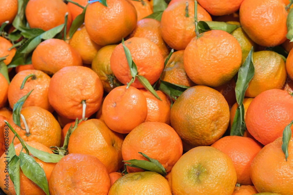 Mandarin oranges in plastic mesh fruit bags at the supermarket. Mandarin oranges in plastic mesh fruit bags at the supermarket.