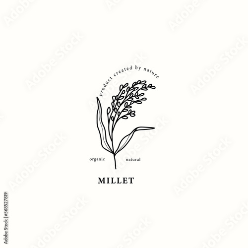 Line art millet branch illustration
