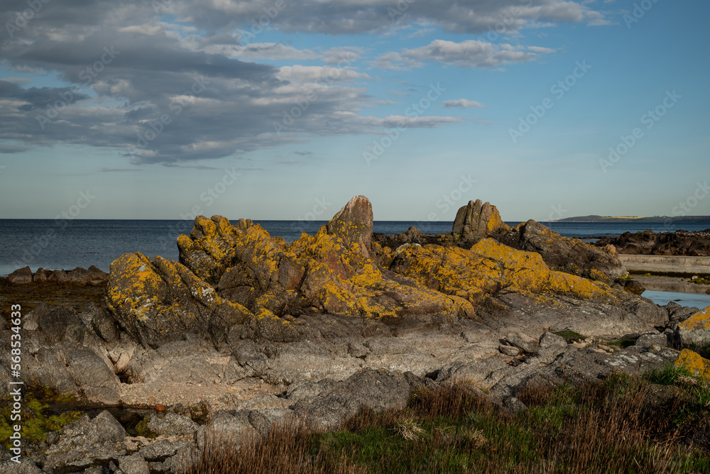 Photograph of a rocky stone formation covered in Algae on the coastline of Allinge on Bornholm, Denmark
