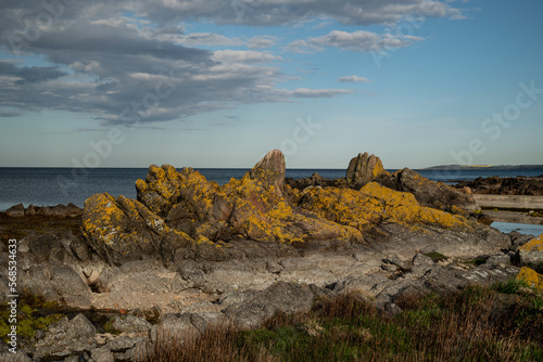 Photograph of a rocky stone formation covered in Algae on the coastline of Allinge on Bornholm, Denmark