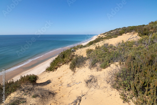 One of the most beautiful beaches in Spain  called  El Asperillo  Do  ana  Huelva  in Spain.  Surrounded by dunes  vegetation and cliffs.  A gorgeous beach.