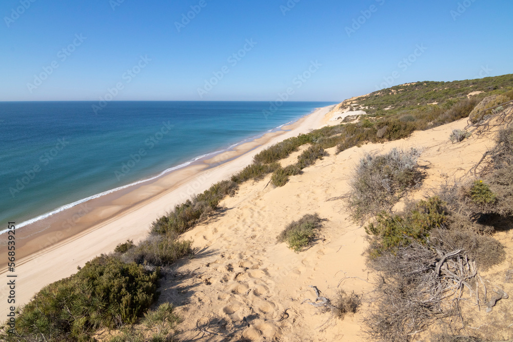 One of the most beautiful beaches in Spain, called (El Asperillo, Doñana, Huelva) in Spain.  Surrounded by dunes, vegetation and cliffs.  A gorgeous beach.