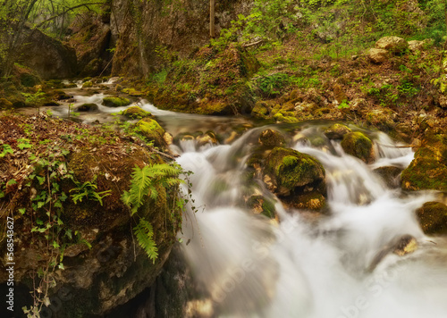 Waterfall in green forest, river stream landscape.